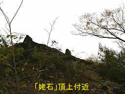 「姥石」頂上付近、信濃３３観音霊場記