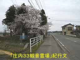 庄内平野の桜、自転車で巡った「庄内３３観音霊場」紀行文