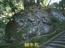 日本寺　蝸牛石