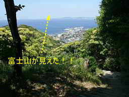 日本寺・裏参道・富士山が見えた、「安房国札３４観音霊場」紀行文