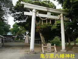 亀ケ原八幡神社