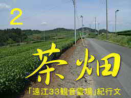 茶畑、自転車で巡った「遠江３３観音霊場」紀行文