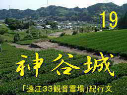 金谷城の茶畑、自転車で巡った「遠江３３観音霊場」紀行文