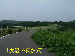 大沼へ向かって、自転車で巡った「津軽３３観音霊場」紀行文