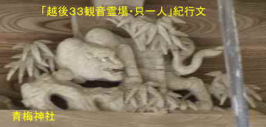 加茂「青海神社」虎の彫刻、「越後３３観音霊場・只一人」紀行文