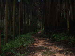 壺坂寺への山道