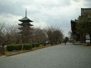 東寺　五重の塔
