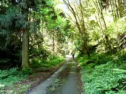 桜峠へ歩く・西国霊場