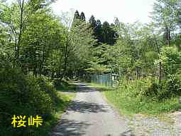 西国霊場　桜峠