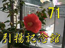 椿の花、舞鶴引揚記念館