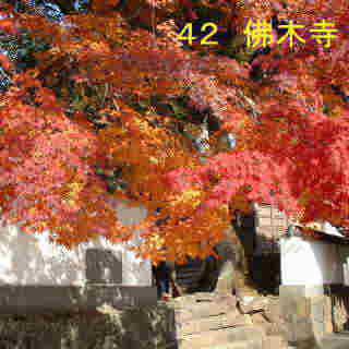 仏木寺の紅葉、四国遍路