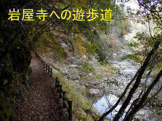 岩屋寺への遊歩道、四国遍路