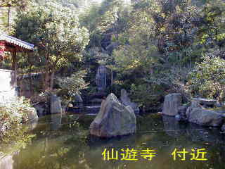 仙遊寺・山門付近の池、四国遍路