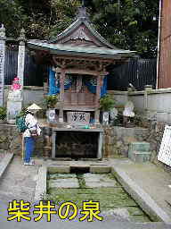 柴井の泉