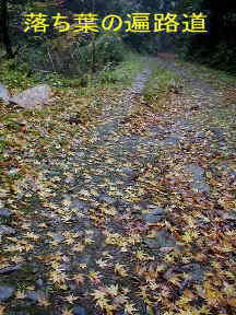 落ち葉の遍路道