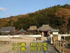 ３６番「釈迦堂」・３７番「明王寺」、小豆島歩き遍路