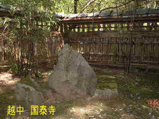 「越中・国泰寺」茶室の庭