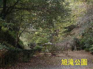 伊豆「瀧源寺」、旭滝公園