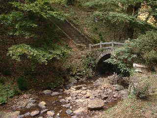 伊豆「瀧源寺」旭滝公園・橋