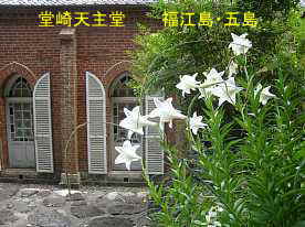堂崎天主堂と白百合、福江島・五島