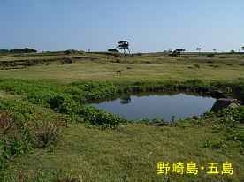 野崎島・サバンナの水溜り、五島列島