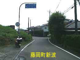 藤岡町新波、イザベラ・バードの道