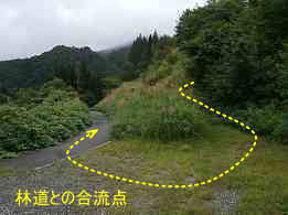 束松峠から林道との合流点、イザベラ・バードの道