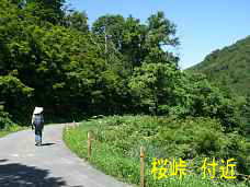 桜峠、イザベラ・バードの道