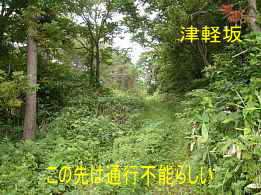津軽坂・草が茂っている、イザベラ・バードの道