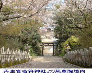 丹生官省符神社より慈尊院境内、熊野古道・町石道