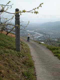 麓が遠くに見える、熊野古道・町石道