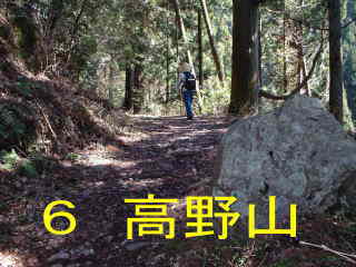 高野山へ、熊野古道・町石道