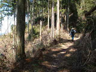 山道を歩く、熊野古道・町石道