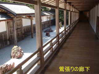 高野山・金剛峰寺・鶯張りの廊下、熊野古道・町石道を歩く