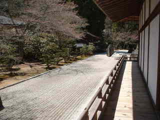 高野山・金剛峰寺・庭園、熊野古道・町石道を歩く