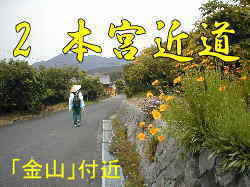 「金山」付近、熊野古道・本宮道を歩く