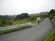 旧道4、熊野古道・本宮道を歩く