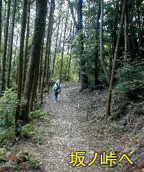 坂ノ峠へ、熊野古道・本宮道を歩く