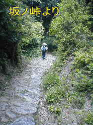坂ノ峠よりの石畳、熊野古道・本宮道を歩く