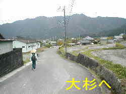 「大杉」へ、熊野古道、本宮道を歩く