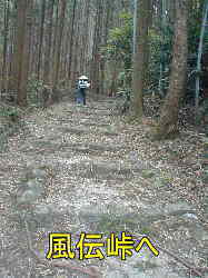 風伝峠の石畳、熊野古道、本宮道を歩く