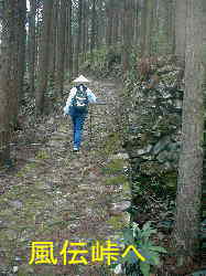 風伝峠の石畳2、熊野古道、本宮道を歩く