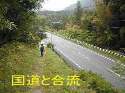 国道との合流点、熊野古道、本宮道を歩く