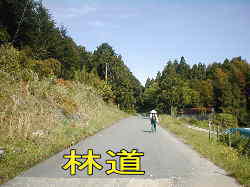 林道、熊野古道・本宮道を歩く