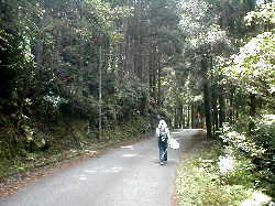 林道、熊野古道・本宮道を歩く