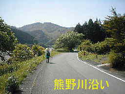 熊野川に沿って「楊枝」集落へ、熊野古道・本宮道を歩く