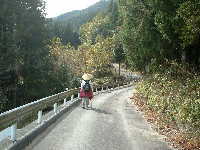 三瀬坂峠へ、熊野古道・伊勢路を歩く