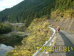 大内山川沿い、熊野古道・伊勢路を歩く