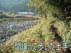 間違って歩いた土手・大内山川、熊野古道・伊勢路を歩く