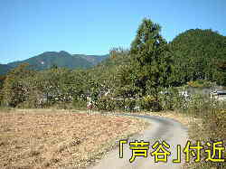 「芦谷」付近、熊野古道・伊勢路を歩く